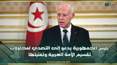 رئيس الجمهورية يدعو إلى التصدي لمحاولات تقسيم الأمة العربية وتفتيتها