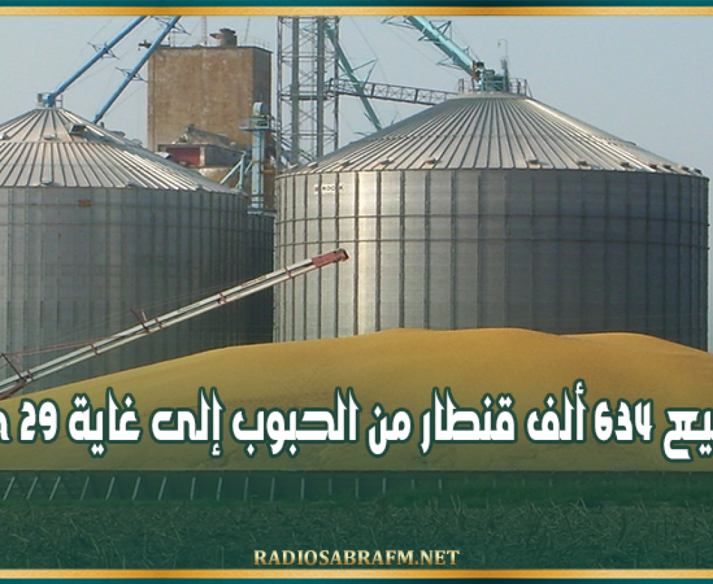 القيروان: تجميع 634 ألف قنطار من الحبوب إلى غاية 29 جوان