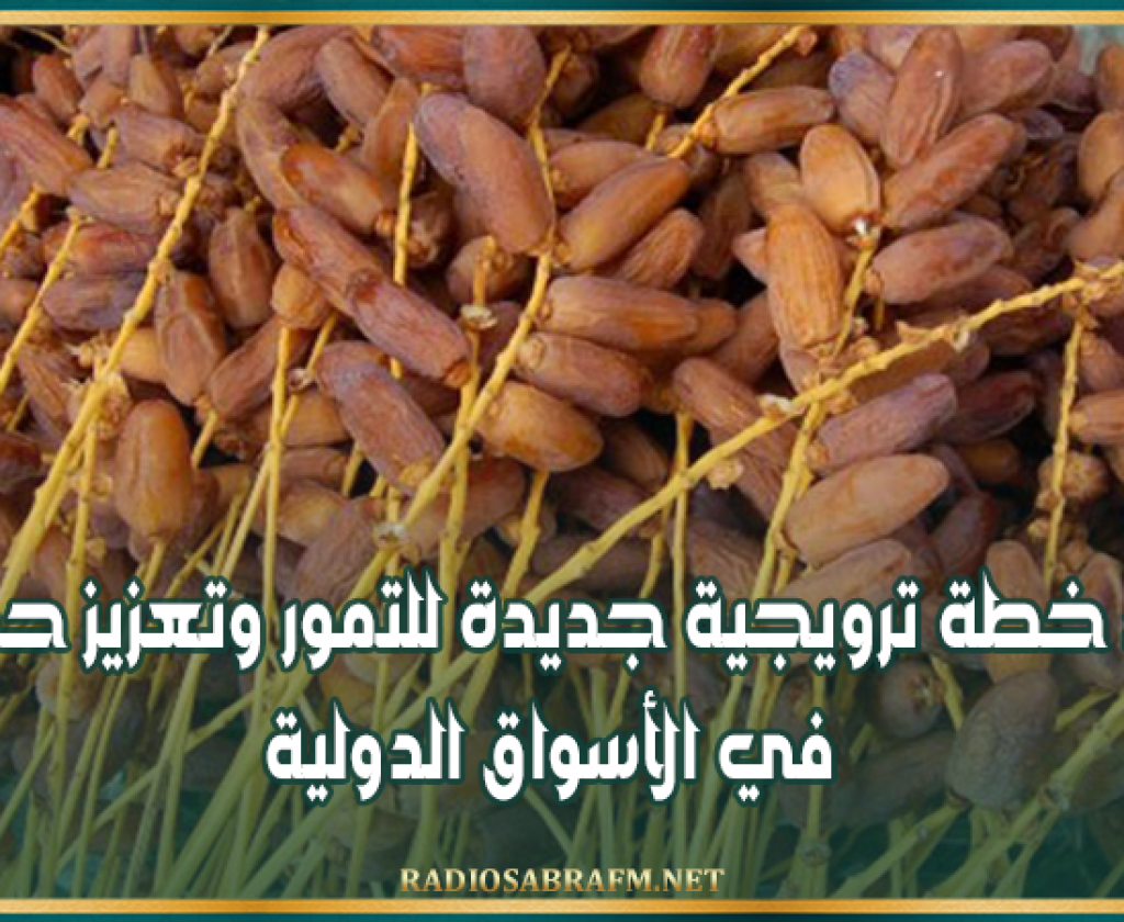 وزارة التجارة: إعداد خطة ترويجية جديدة للتمور وتعزيز حضورها في الأسواق الدولية