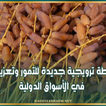وزارة التجارة: إعداد خطة ترويجية جديدة للتمور وتعزيز حضورها في الأسواق الدولية