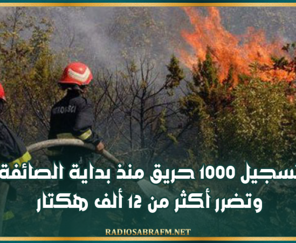 وزارة الفلاحة: تسجيل 1000 حريق منذ بداية الصائفة وتضرر أكثر من 12 ألف هكتار