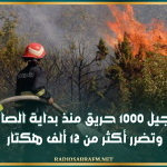 وزارة الفلاحة: تسجيل 1000 حريق منذ بداية الصائفة وتضرر أكثر من 12 ألف هكتار