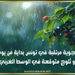 تقلبات جوية مرتقبة في تونس بداية من يوم الأحد و ثلوج متوقعة في الوسط الغربي