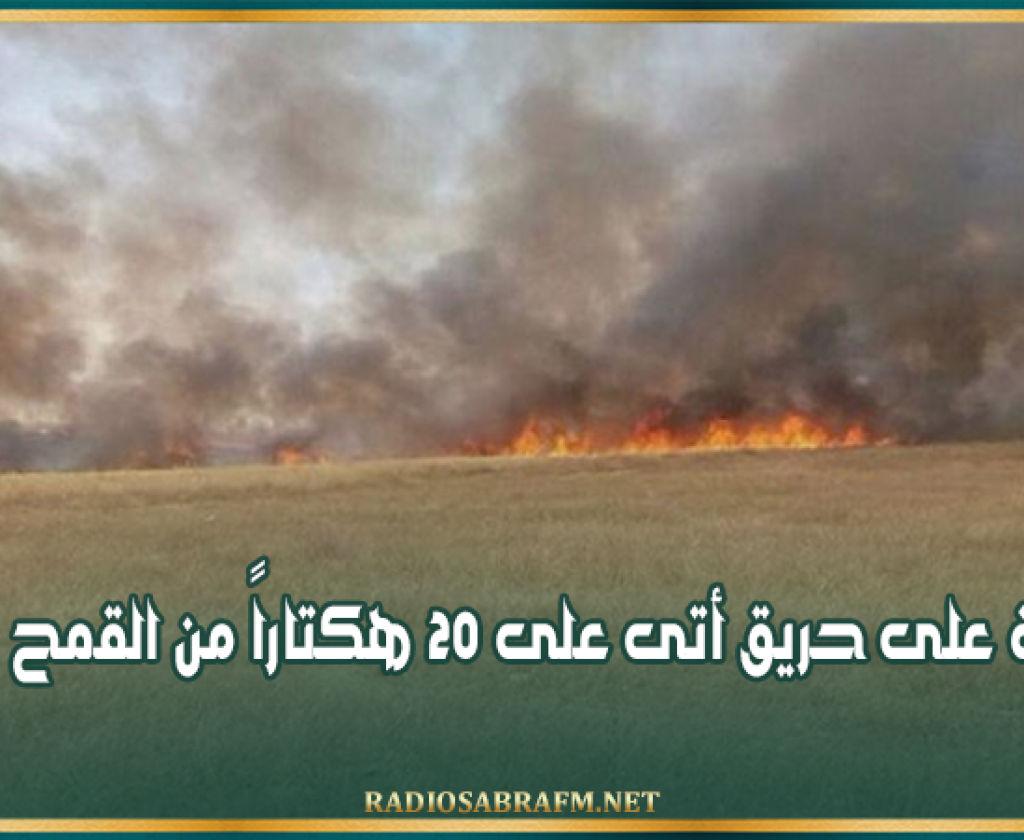سليانة: السيطرة على حريق أتى على 20 هكتاراً من القمح بالكريب