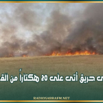 سليانة: السيطرة على حريق أتى على 20 هكتاراً من القمح بالكريب