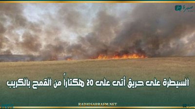 سليانة: السيطرة على حريق أتى على 20 هكتاراً من القمح بالكريب