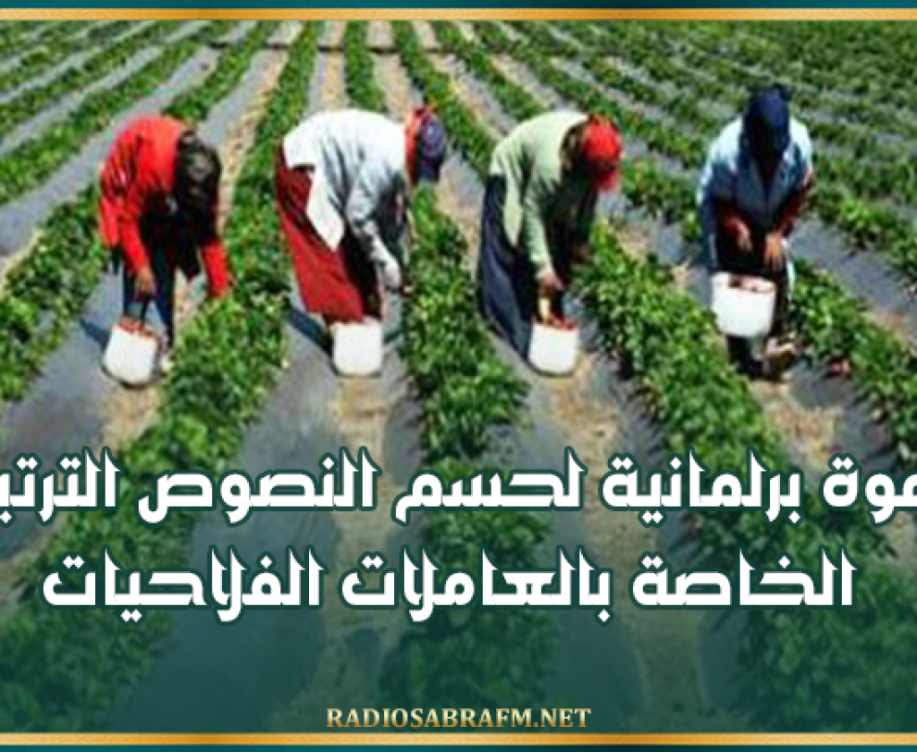 تزامنا مع الاحتفال بعيد المرأة .. دعوة برلمانية لحسم النصوص الترتيبية الخاصة بالعاملات الفلاحيات