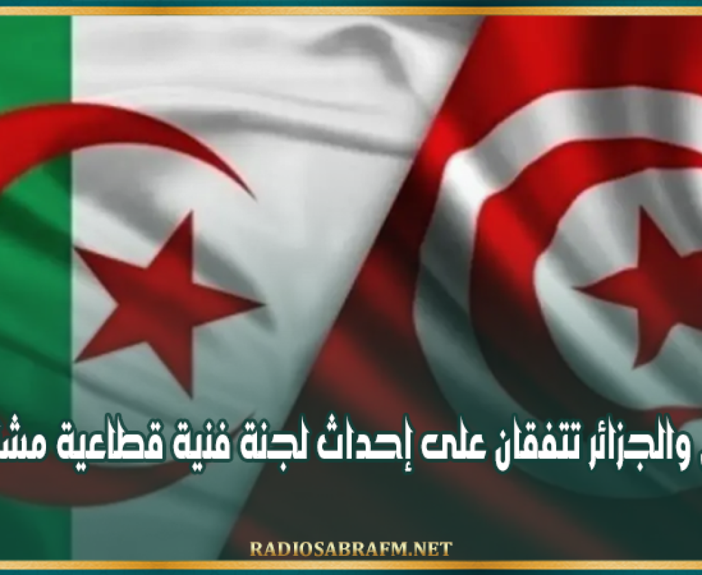 تونس والجزائر تتفقان على إحداث لجنة فنية قطاعية مشتركة