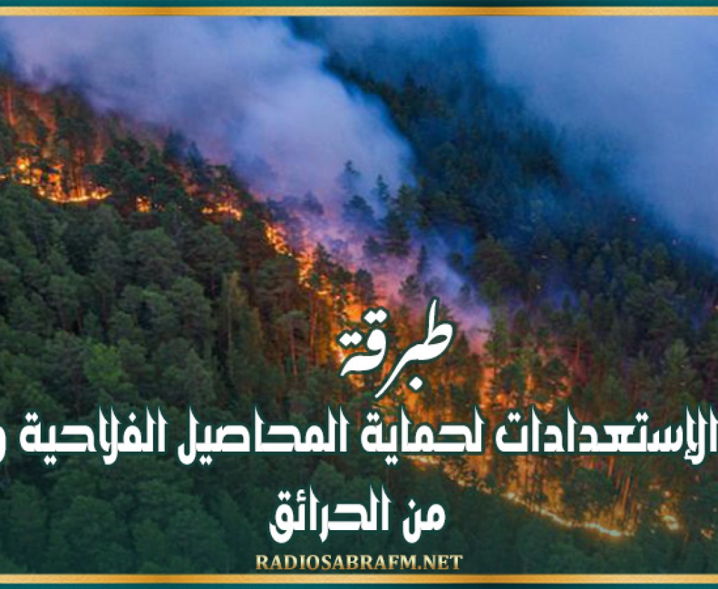طبرقة : إنطلاق الإستعدادات لحماية المحاصيل الفلاحية والغابية من الحرائق.