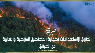 طبرقة : إنطلاق الإستعدادات لحماية المحاصيل الفلاحية والغابية من الحرائق.