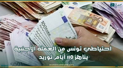 احتياطي تونس من العملة الأجنبية يناهز 110 أيام توريد