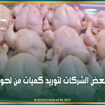بهدف تعديل السوق..الترخيص لبعض الشركات لتوريد كميات من لحوم الدواجن