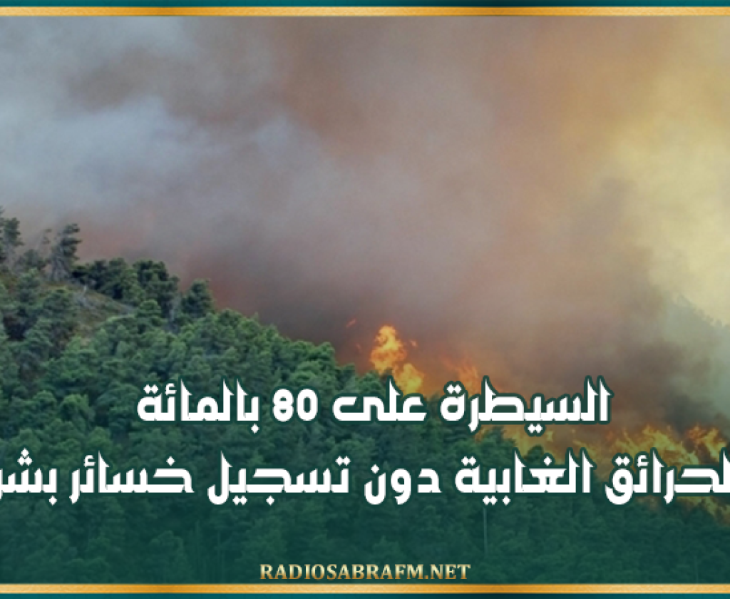 الحماية المدنية: السيطرة على 80 بالمائة من الحرائق الغابية دون تسجيل خسائر بشرية