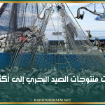 قيمة صادراتها خلال شهر جانفي بلغت 45,7 م.د . .تونس صدّرت منتوجات الصيد البحري إلى أكثر من 20 بلداً