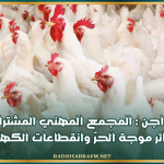قطاع الدواجن : المجمع المهني المشترك يحصي خسائر موجة الحرّ وانقطاعات الكهرباء