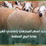 تحديد السعر المرجعي لأضاحي العيد بنقاط البيع المنظمة