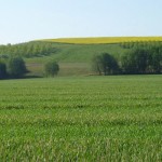 بنزرت: تخصيص 91 هكتارا من الأراضي الدولية المسترجعة للفلاحين الشبان والمهنيين وحاملي الشهادات العليا