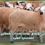 القيروان: الإتفاق على إحداث نقطتين لبيع أضاحي العيد بسوق الجملة وسوق من المنتج إلى المستهلك