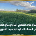 القيروان: الاعتماد على القطاع المروي في الحبوب وتراجع كلي للمساحات البعلية بسبب التغييرات المناخية