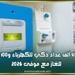 تركيز 450 ألف عداد ذكي للكهرباء و100 ألف عداد للغاز مع موفى 2026