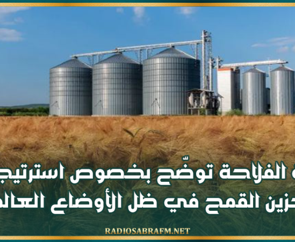 وزارة الفلاحة توضّح بخصوص استرتيجيتها لتخزين القمح في ظل الأوضاع العالمية