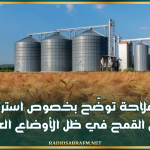 وزارة الفلاحة توضّح بخصوص استرتيجيتها لتخزين القمح في ظل الأوضاع العالمية