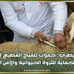 طبيب بيطري: حملات تلقيح القطيع إجبارية ومجانية لحماية الثروة الحيوانية والأمن الغذائي