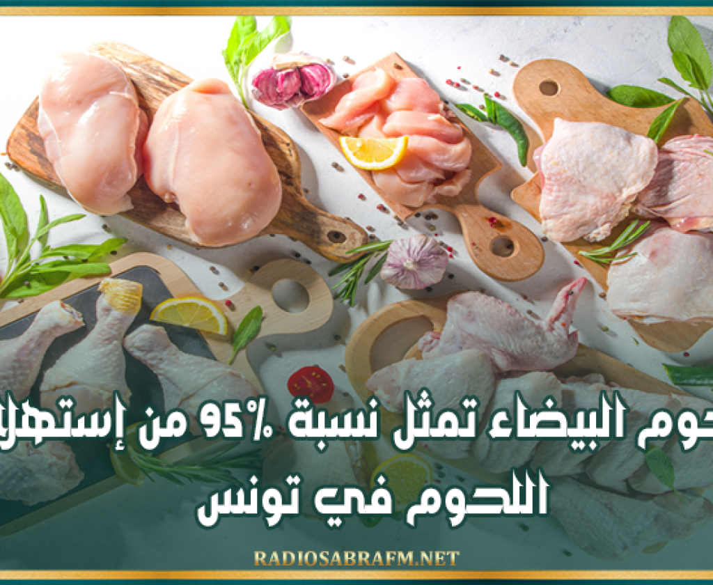 إبراهيم النفزاوي: اللحوم البيضاء تمثل نسبة 95% من إستهلاك اللحوم في تونس