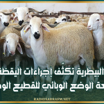 المصالح البيطرية تكثّف إجراءات اليقظة الصحية لمتابعة الوضع الوبائي للقطيع الوطني