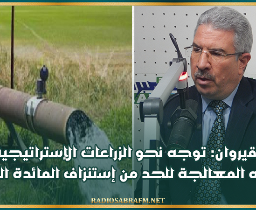 القيروان: توجه نحو الزراعات الإستراتيجية والمياه المعالجة للحد من إستنزاف المائدة المائية